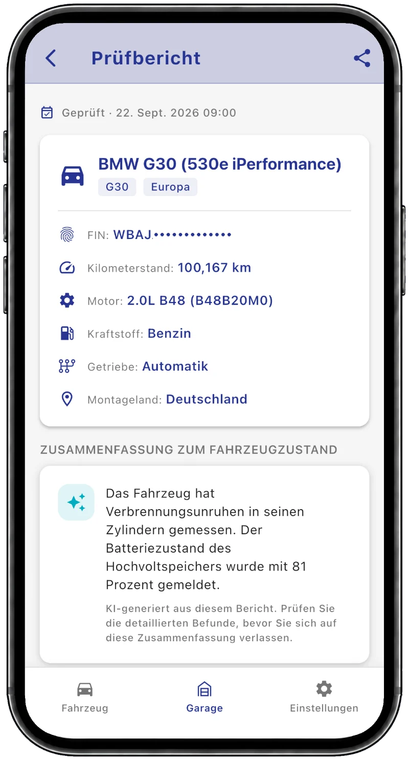 BimmerInspect-Prüfbericht